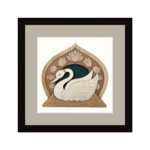 SWAN